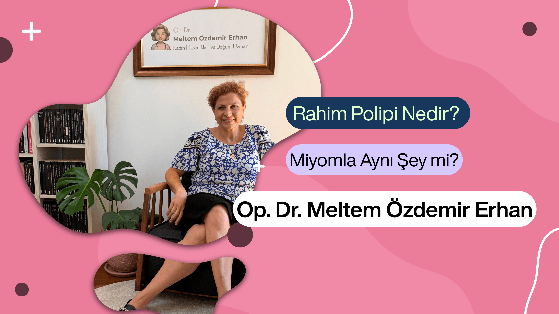 rahim polipi nedir, endometrial polip, rahim polipi belirtileri, rahim polipi miyom farkı, rahim polipi gebelik, adetler arası kanama, ankara kadın doğum uzmanı, kavaklıdere kadın doğum, çankaya jinekolog, dr meltem özdemir erhan