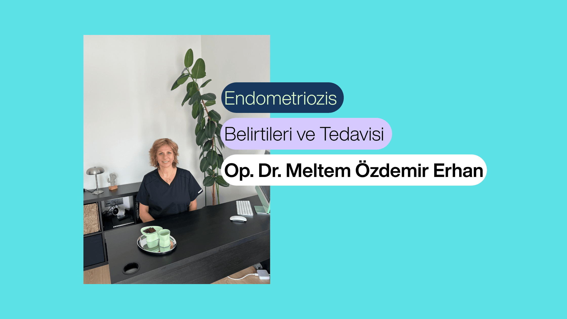  Endometriozis (Çikolata Kisti) Nedir? Belirtileri ve Tedavisi | Ankara Kadın Doğum Uzmanı Op. Dr. Meltem Özdemir Erhan