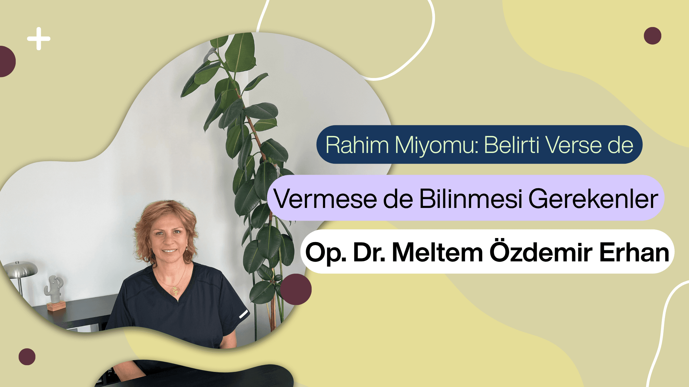 miyom nedir, miyom belirtileri, rahim miyomu, miyom büyür mü, miyom tehlikeli mi, ankara kadın doğum uzmanı, kavaklıdere kadın doğum, çankaya jinekolog, ağır adet kanaması, dr meltem özdemir erhan
